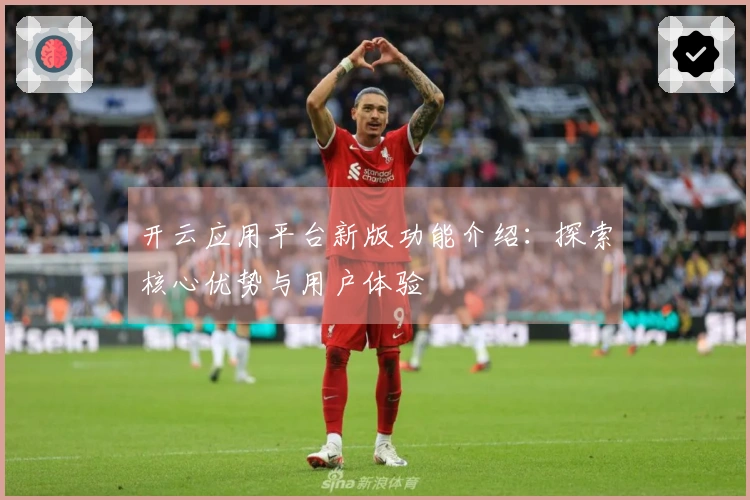 开云应用平台新版功能介绍：探索核心优势与用户体验