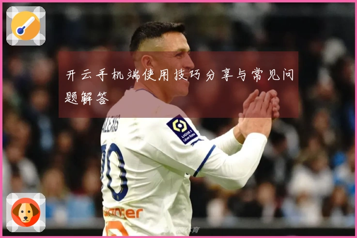 开云手机端使用技巧分享与常见问题解答