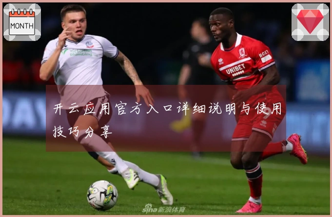 开云应用官方入口详细说明与使用技巧分享