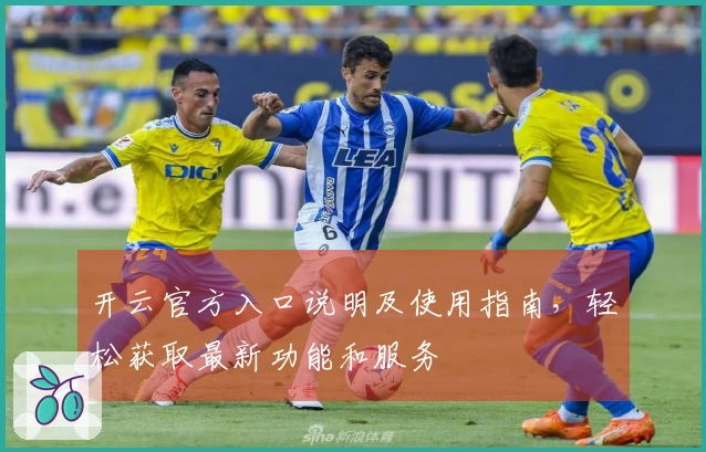 开云官方入口说明及使用指南，轻松获取最新功能和服务