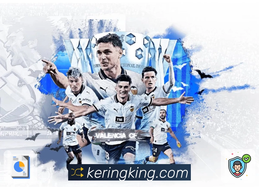 开云应用官方入口详细说明与使用技巧分享